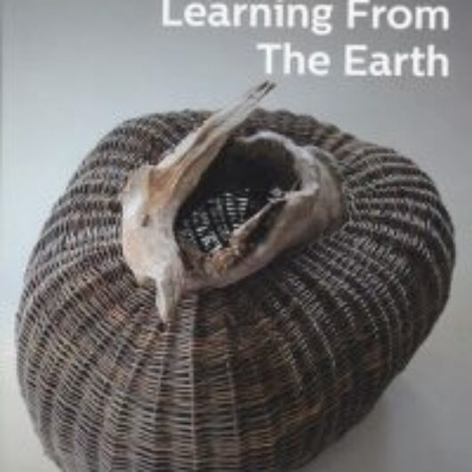 Learning from the Earth