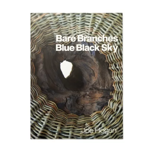 Bare Branches, Blue Black Sky