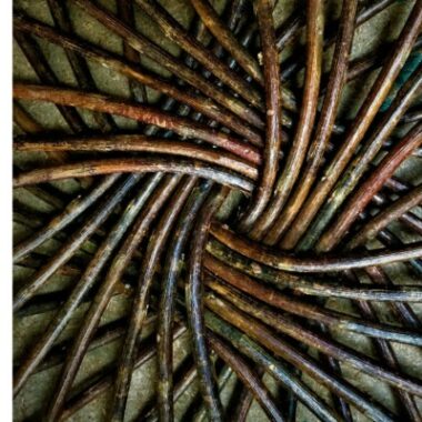 Maker - Penelope Wilson