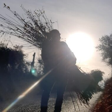 Maker - Mollie McMillen