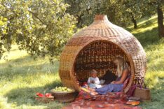 Jenny Crisp & Issy Wilkes – Willow with Roots