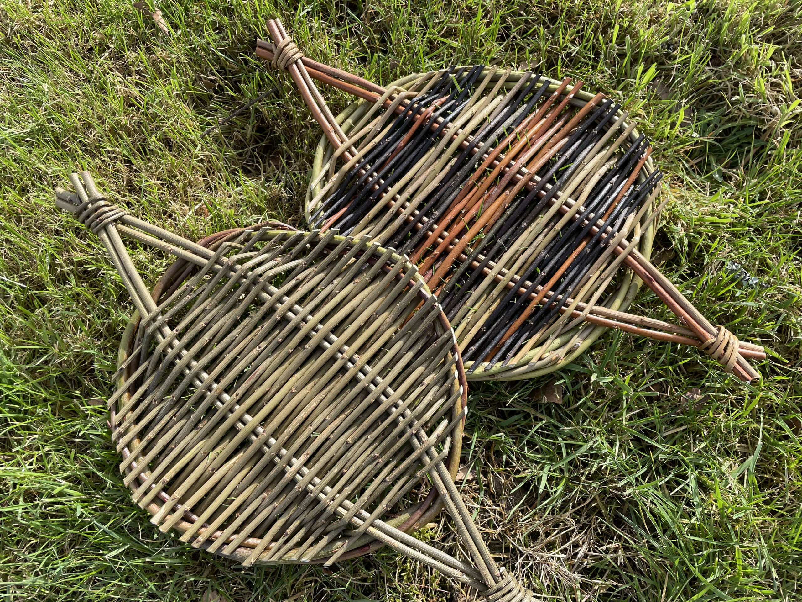 Introduction to willow – Tension Tray Workshop