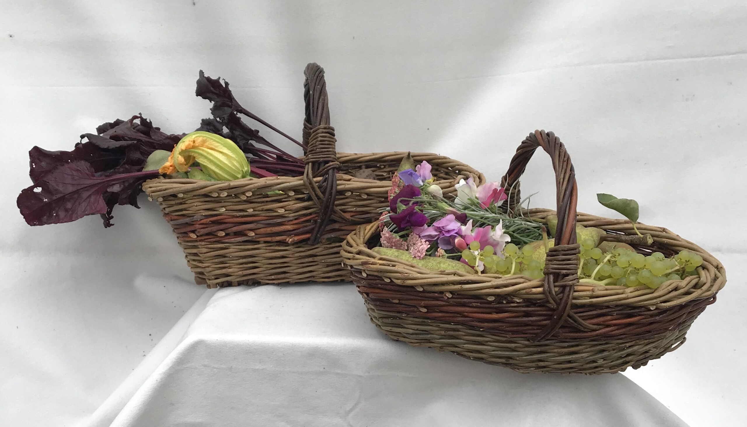 Garden Basket Willow Day Workshop 14th July