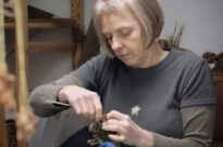 Anita Lomas