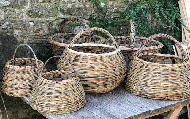 Two day on a Round base, Basketmaking Workshop 22/23rd October 2022