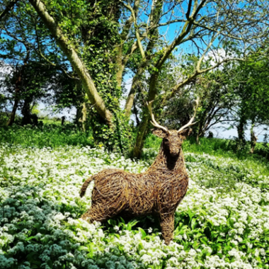 Maker - Wispy Willow Creations – Debbie Meziane-Joynson