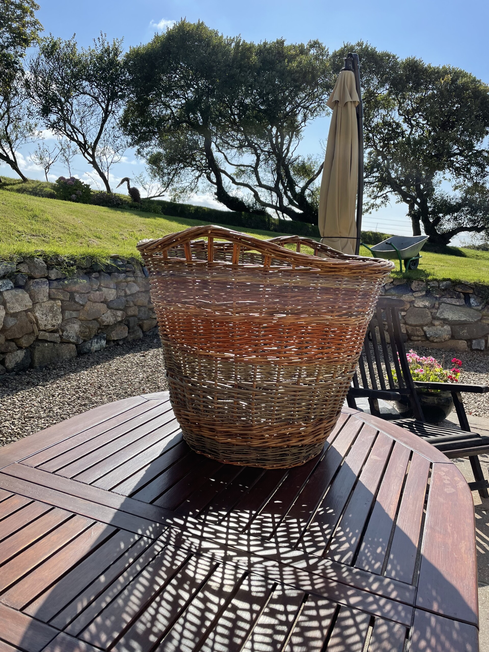 Willow log basket workshop