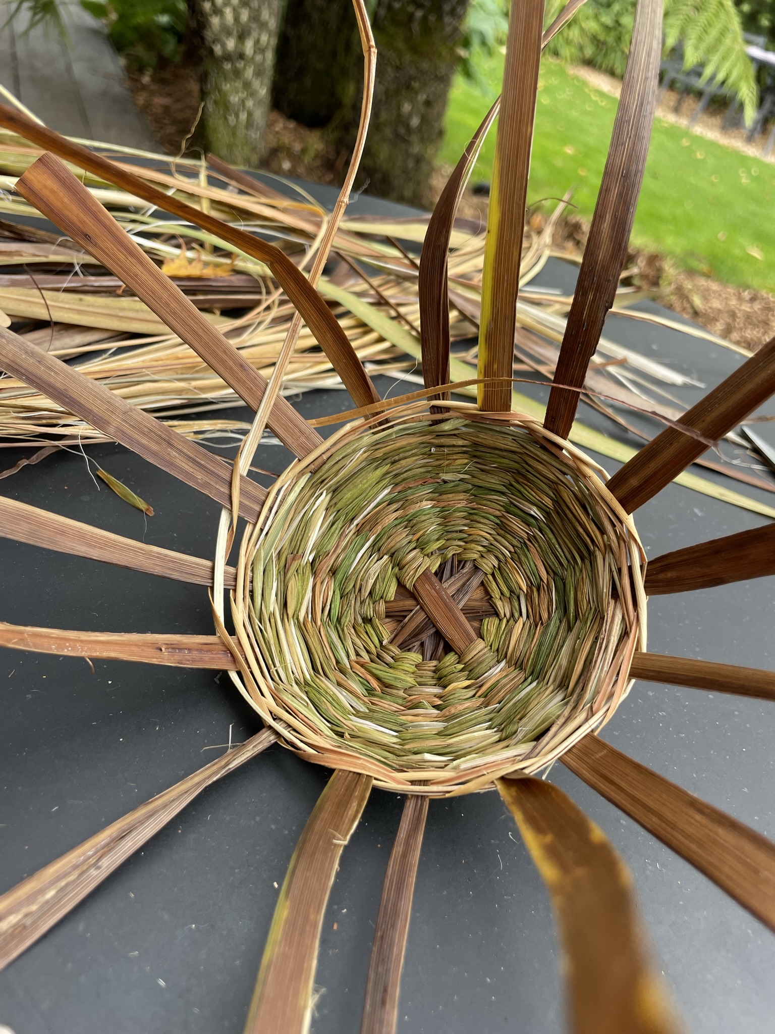 Sarah Simonds The Basketmakers' Association