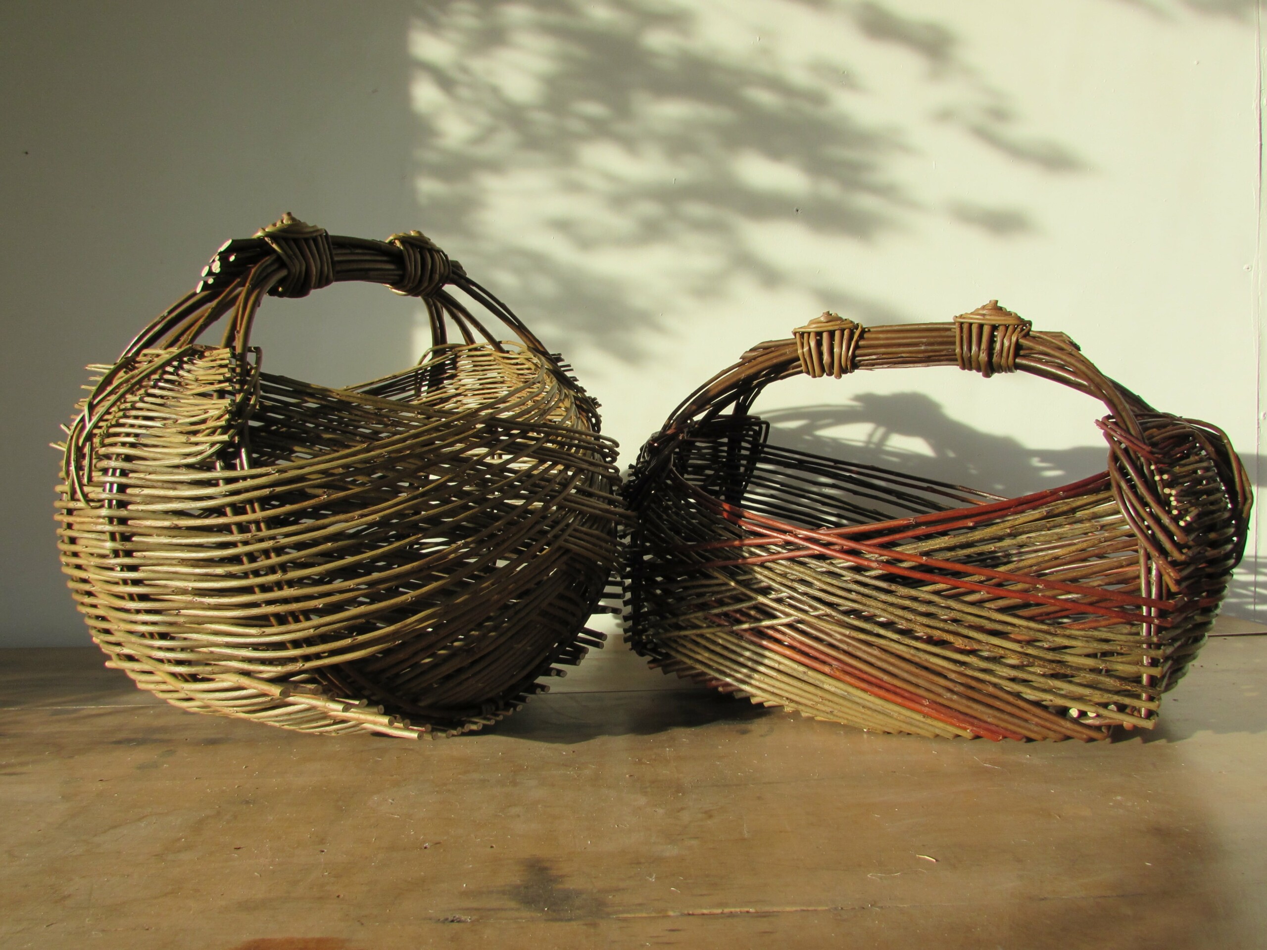 Zarzo Basket Willow Day Workshop Wednesday 9th November