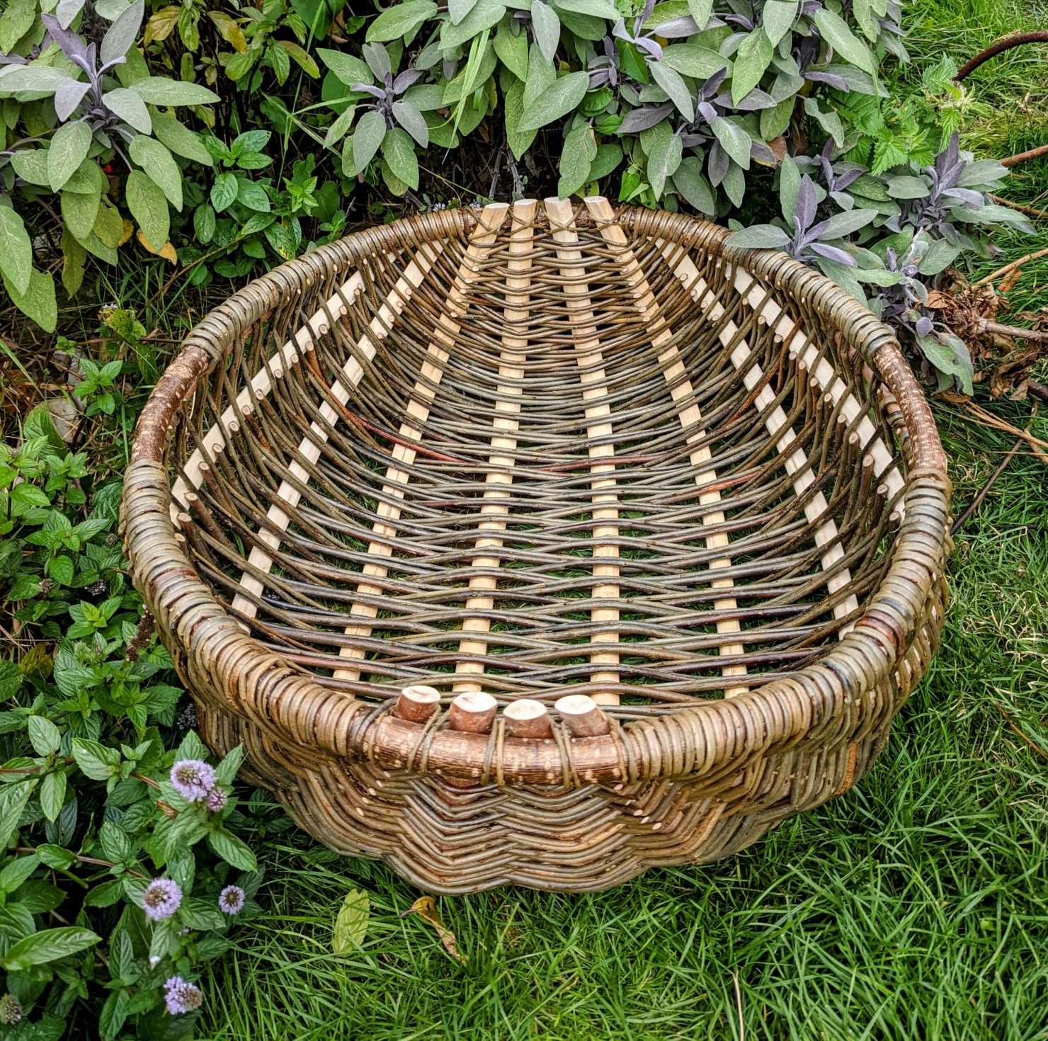 BA Spring School 2023: Exploring Welsh Frame Baskets - The Basketmakers