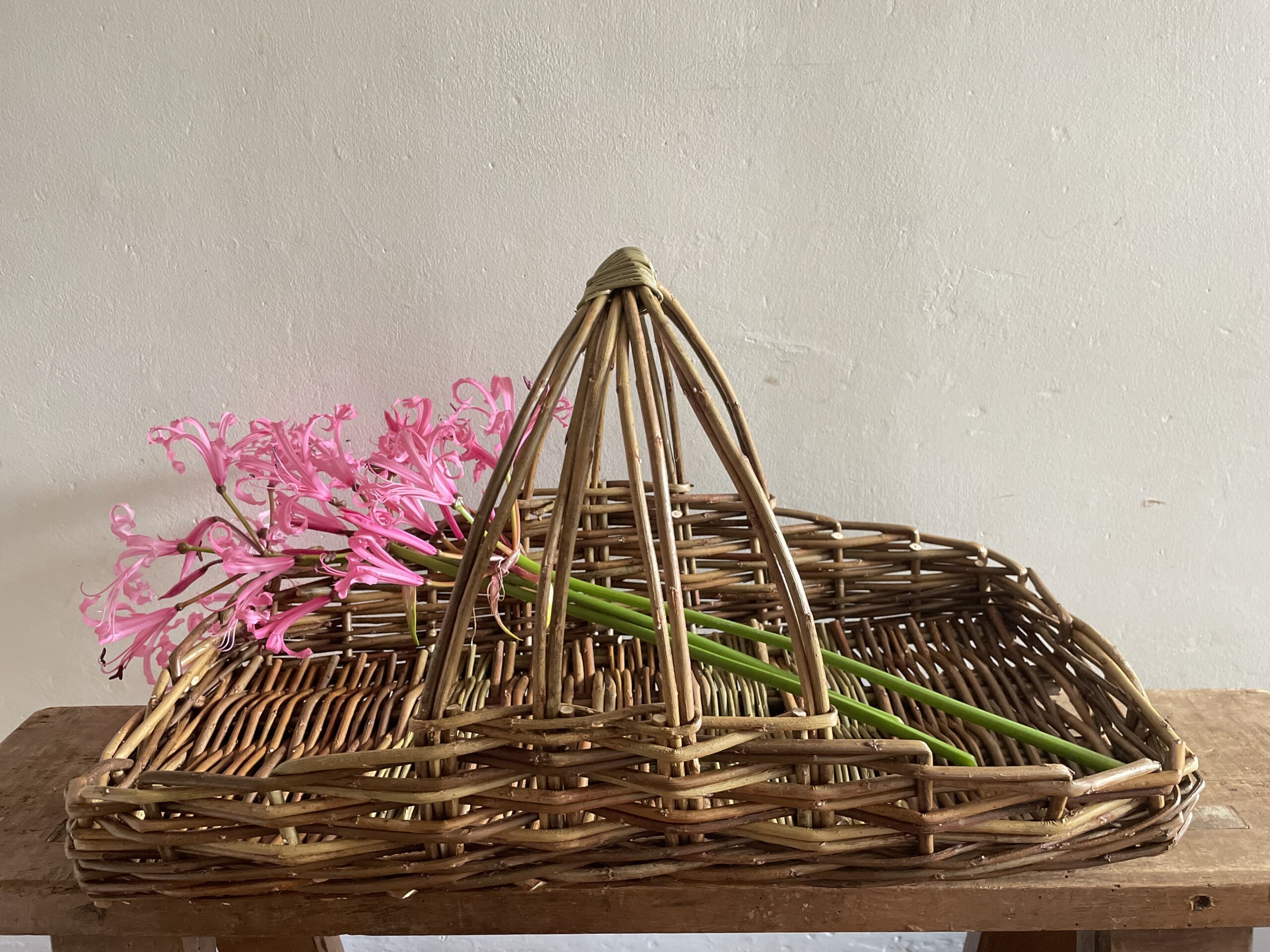 Flower Basket Willow Day Workshop Friday 10th May