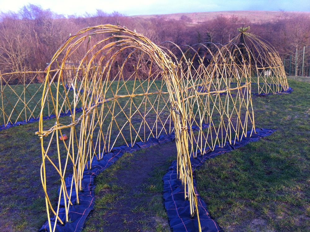 Planting Living Willow Structures