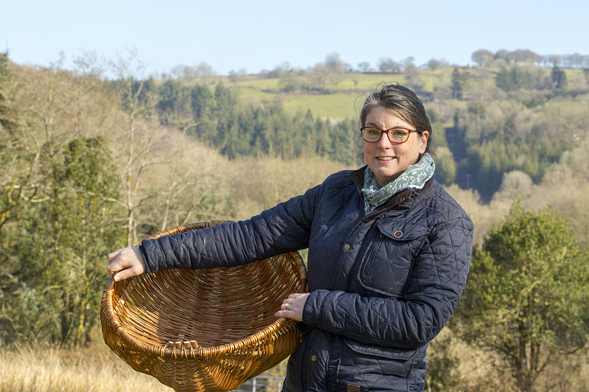 Welsh Cyntell – Framed Basket Workshop 13 & 14 October 2023