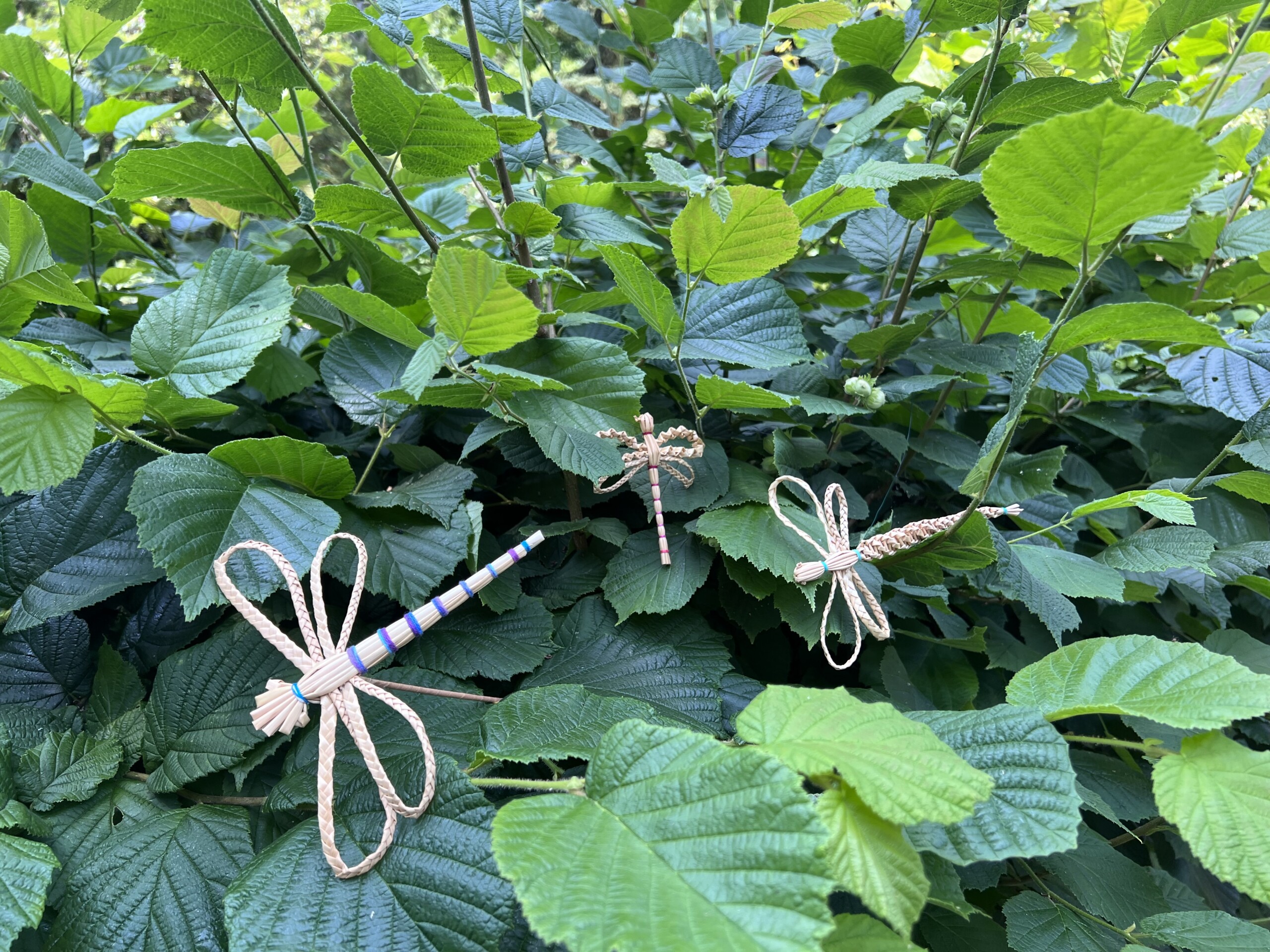 Make a straw dragonfly