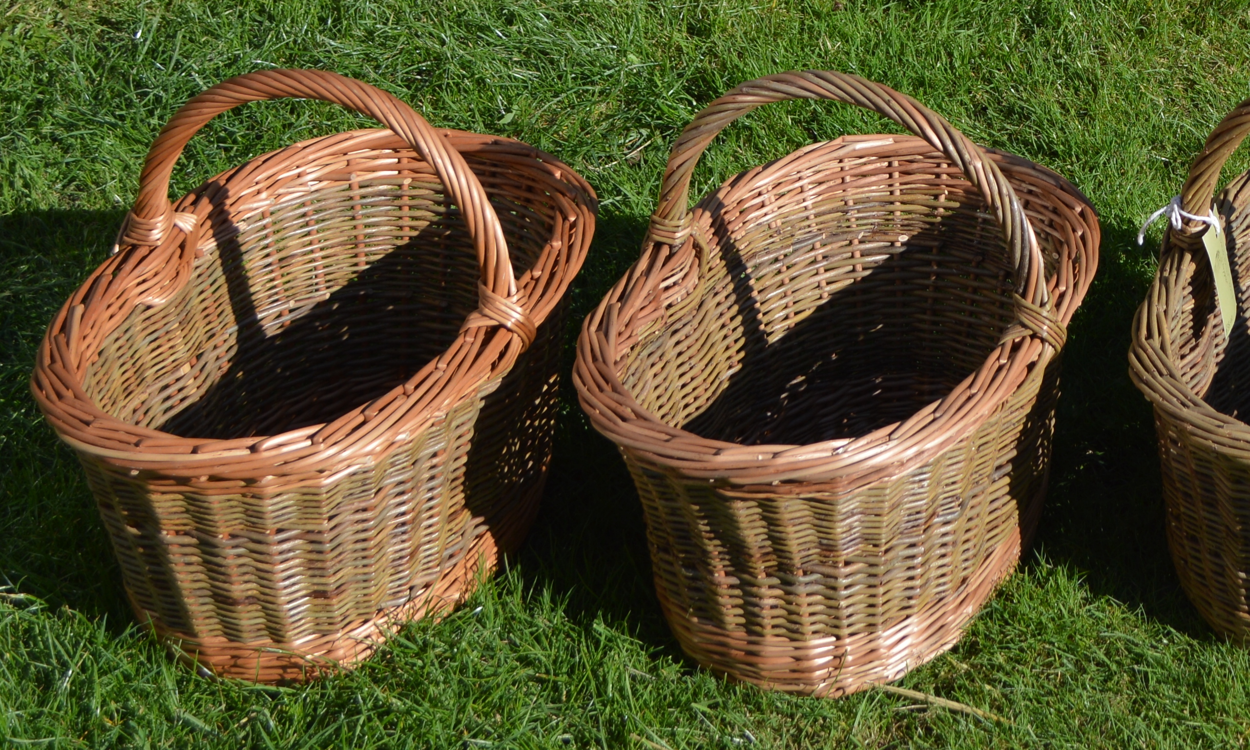 Oval Shopper, Laundry Basket or Trug