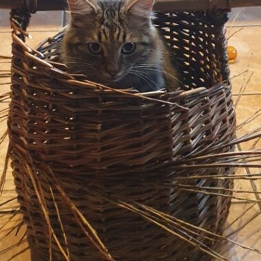 Maker - Rosie Larmour jones