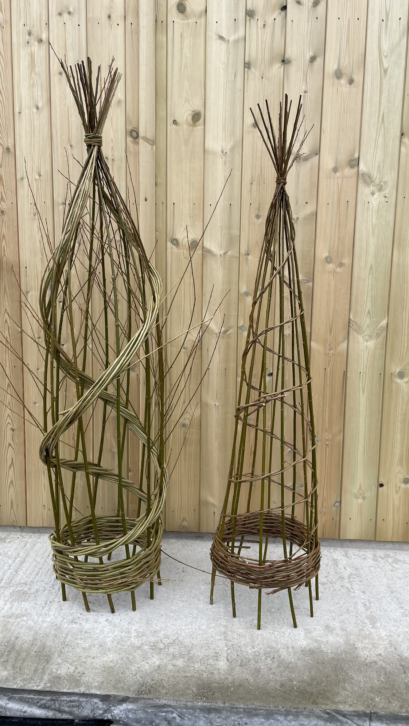 Willow Plant Support and Bird Feeders Workshop