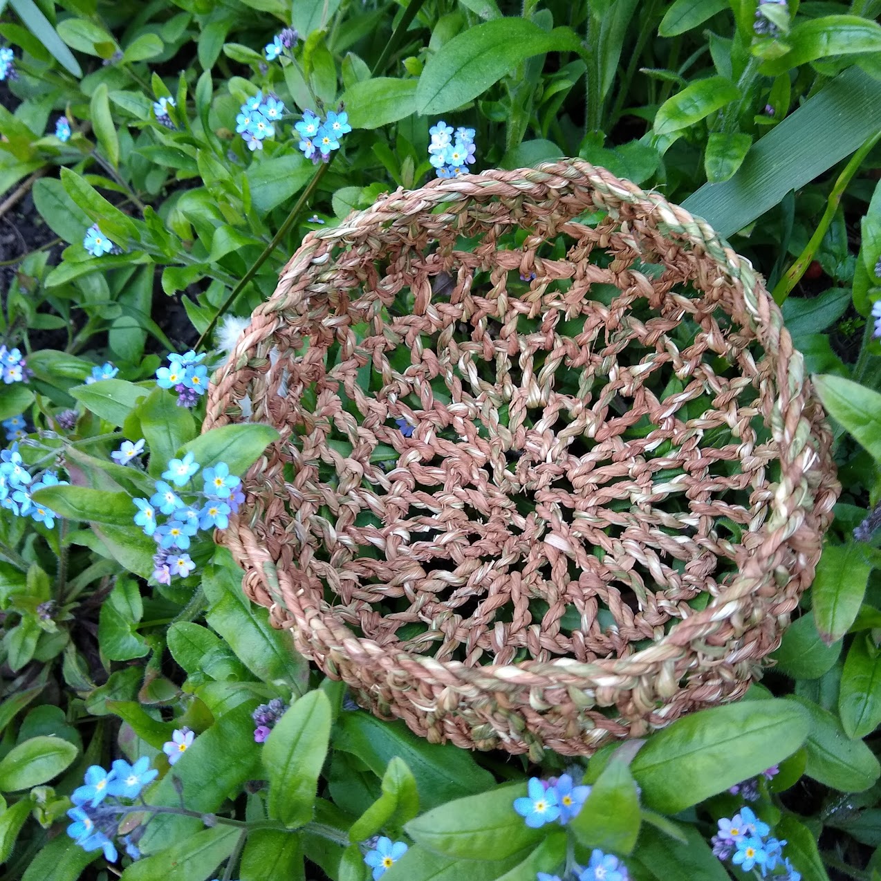 Creative basketry: looping