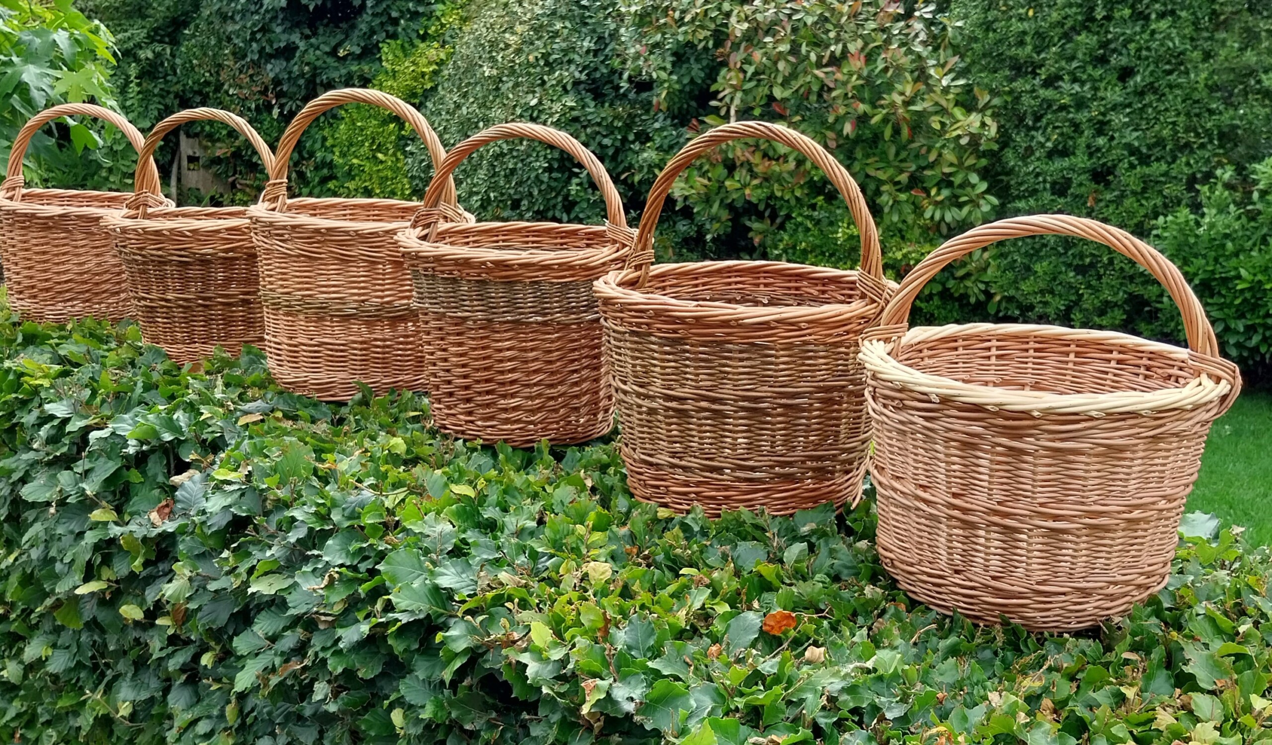 Round Shopping Basket with Judi Evans