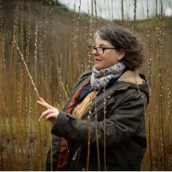 50th anniversary talk – 10 top tips to growing basketry willow with Justine Burgess