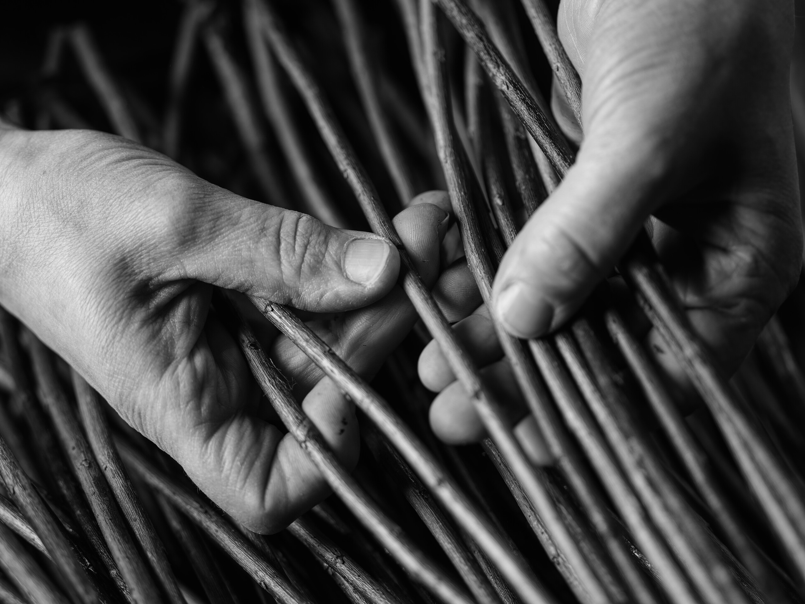 Beginners Willow Basketry