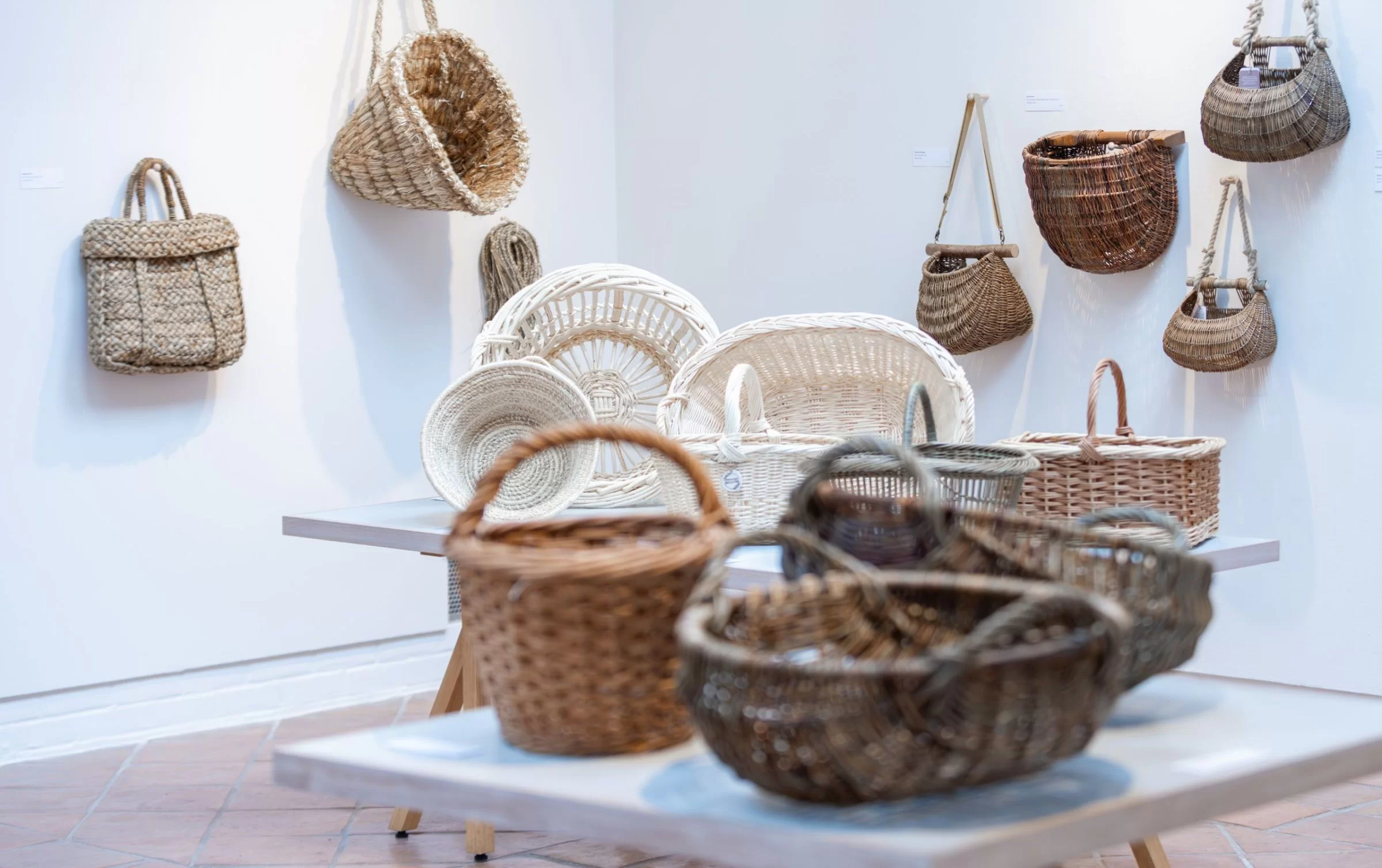 Harley Gallery Talk: The Stories Behind the Baskets with Clare Revera