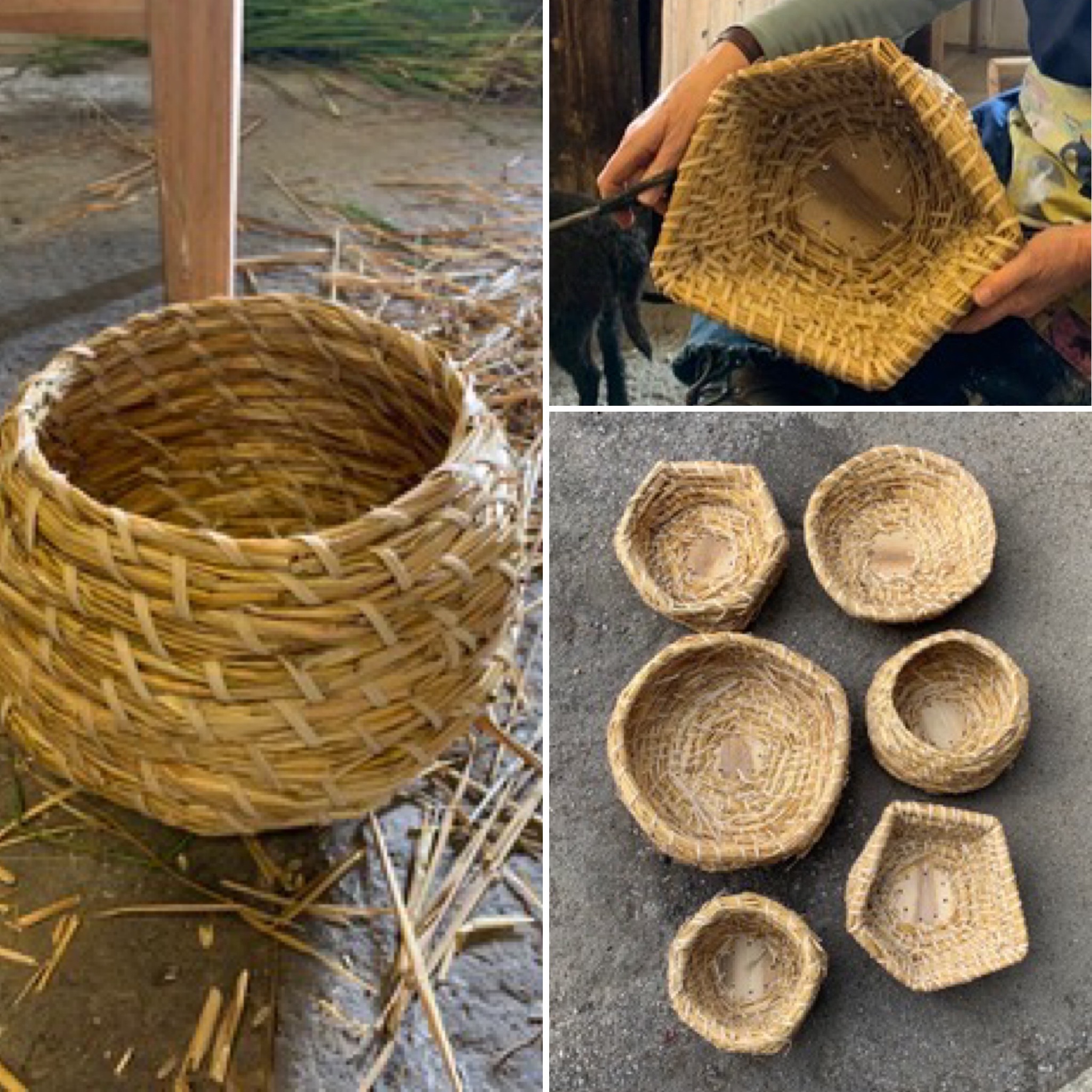 Lip work, basketry & skep making course with Martha Hand