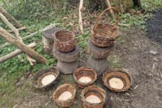 Jo Sullivan – Willow With Jo