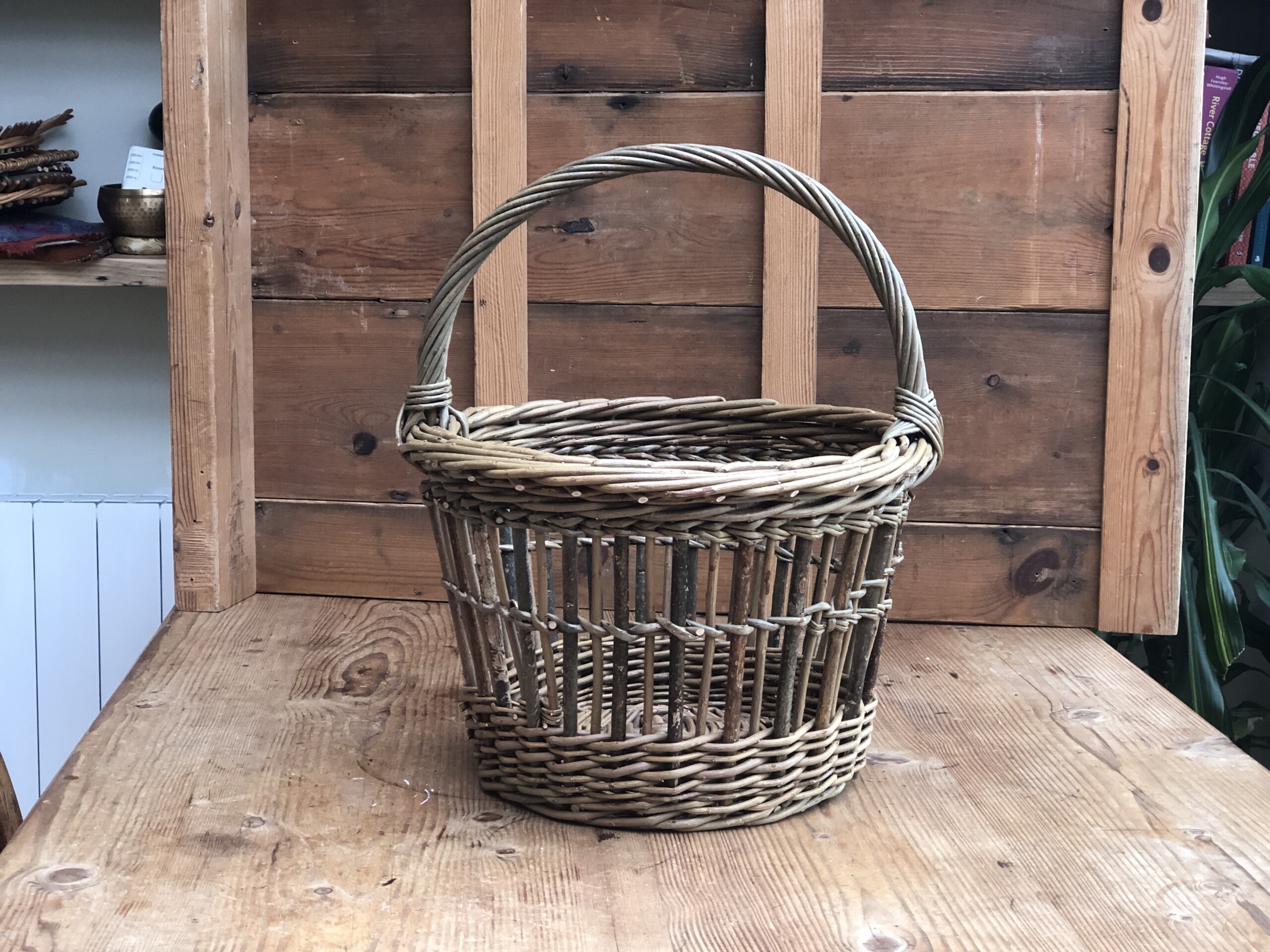 Fitched Strawberry Basket with Anna Liebmann