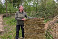Jo Sullivan – Willow With Jo