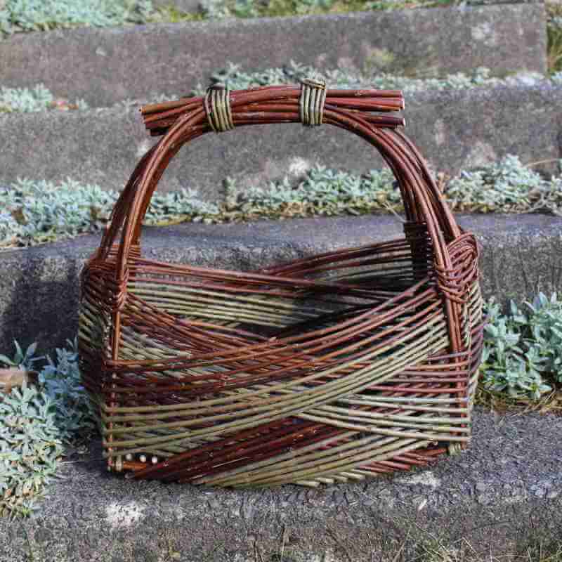 Zarzo basket course