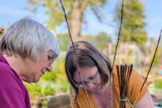 Jo Sullivan – Willow With Jo