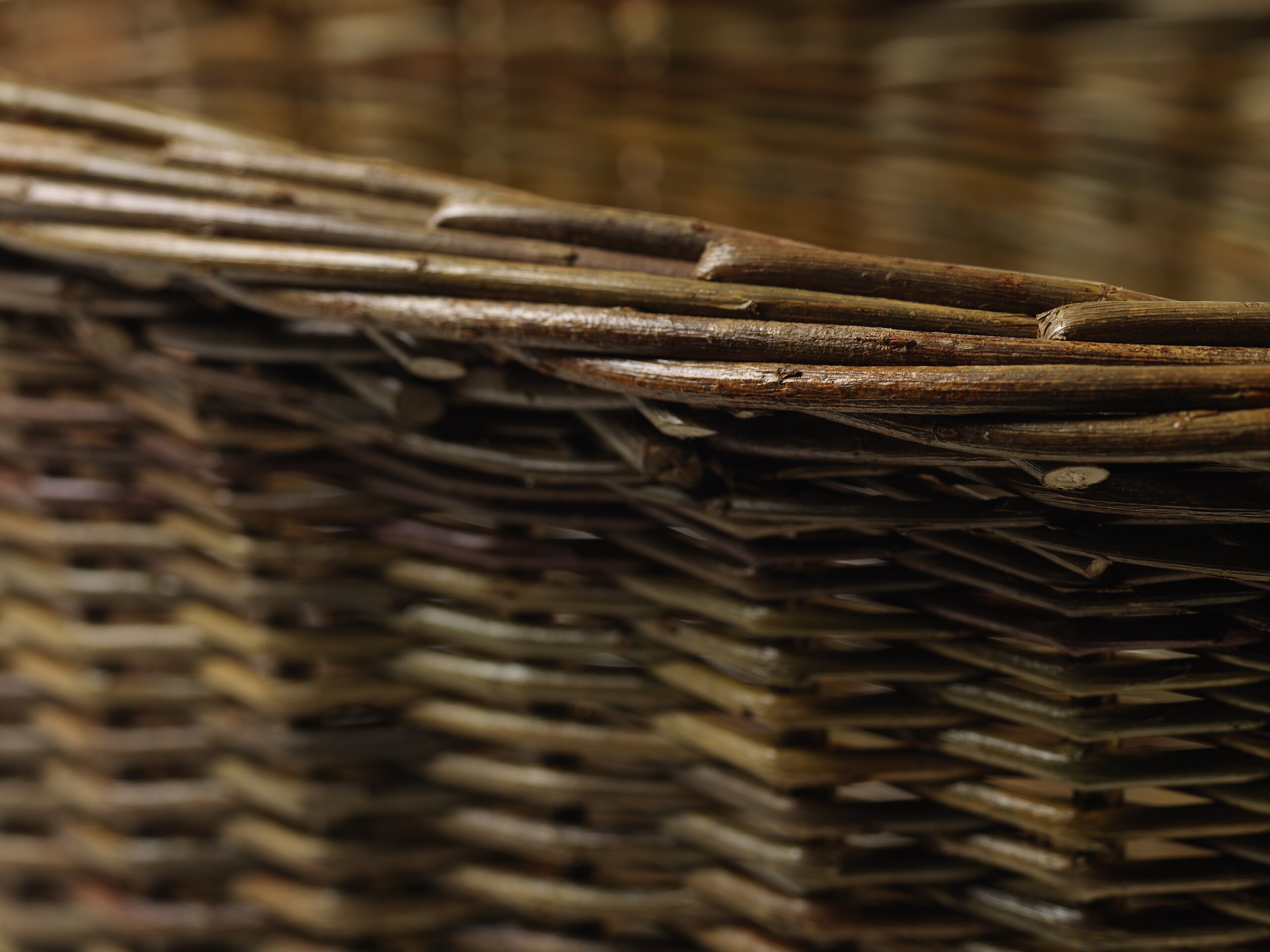 Willow Basketry with Anna Liebmann