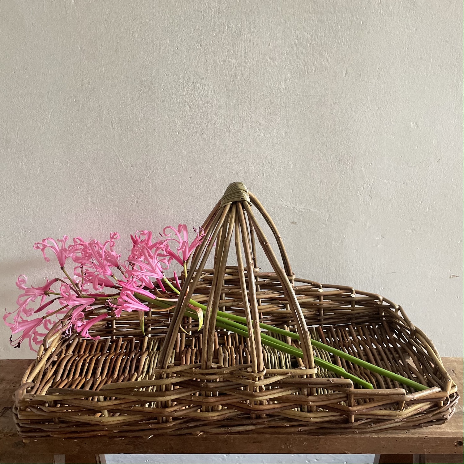 Flower Basket Willow Day Workshop