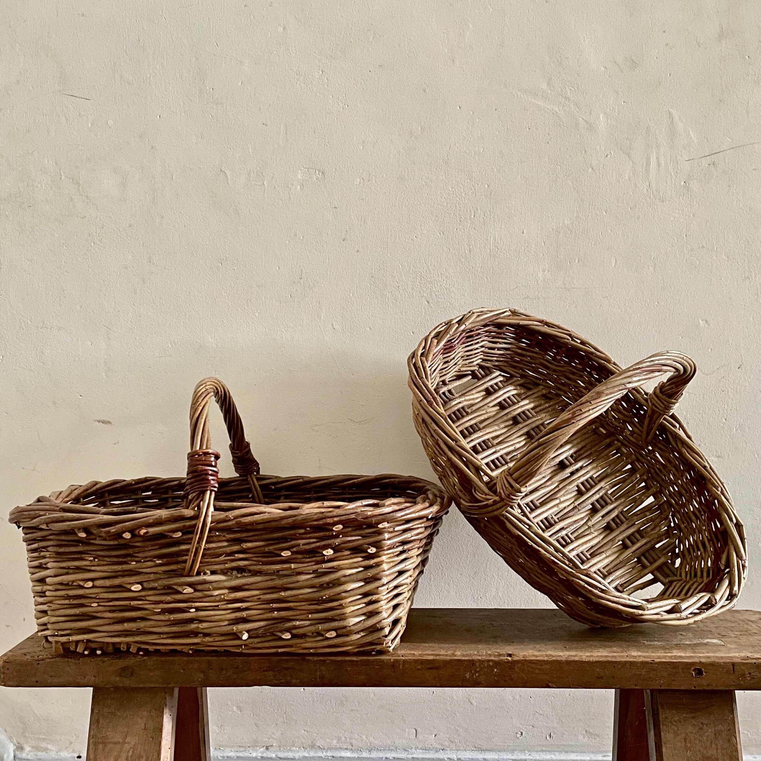 Garden Basket Willow Day Workshop