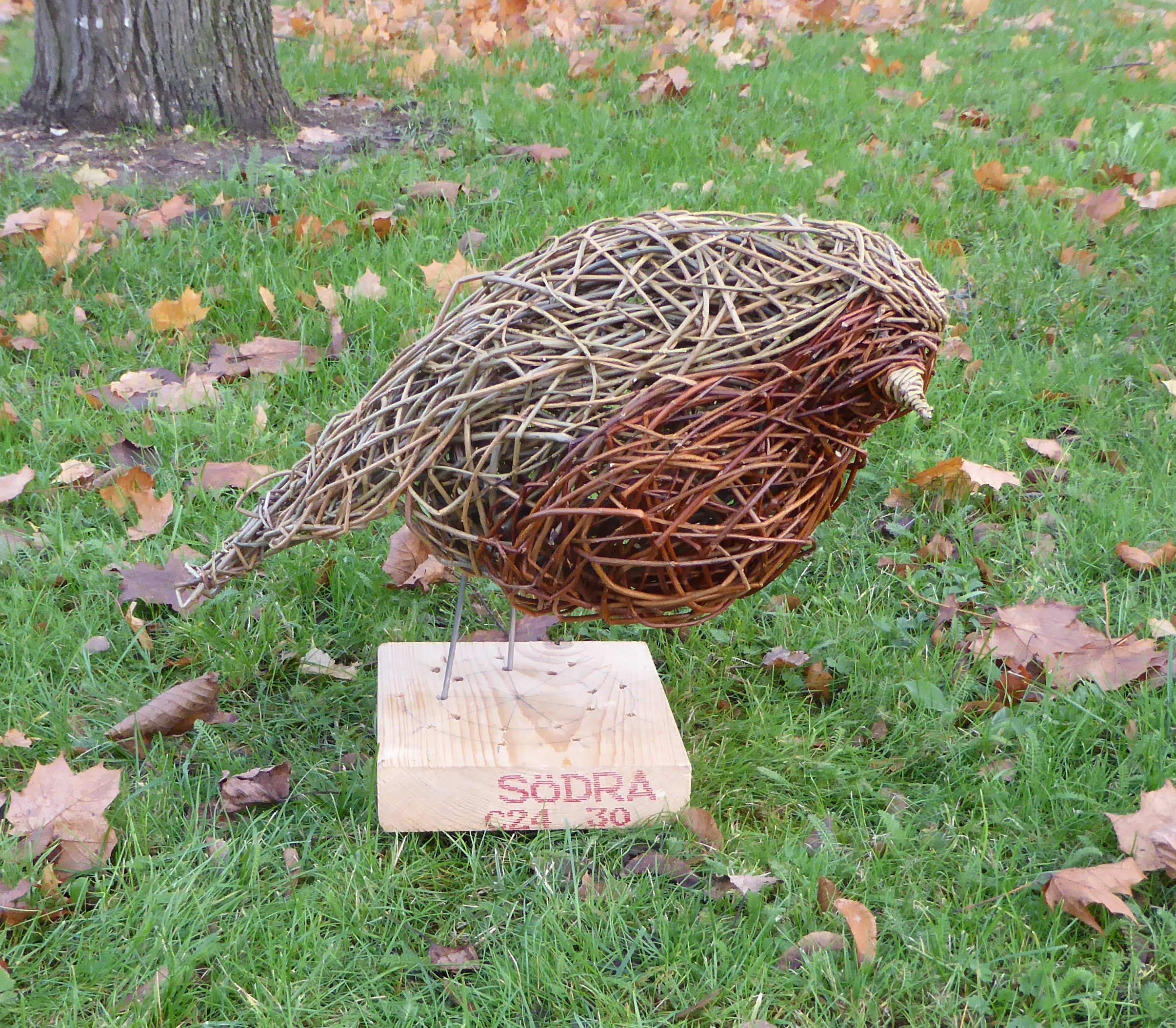 Willow Robin Workshop