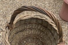 Lorraine Ellery Matthews