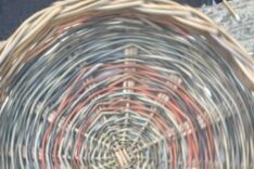 Lorraine Ellery Matthews