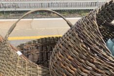 Lorraine Ellery Matthews