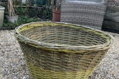 Lorraine Ellery Matthews