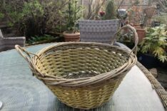 Lorraine Ellery Matthews