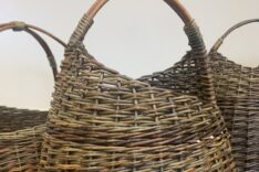 Lorraine Ellery Matthews