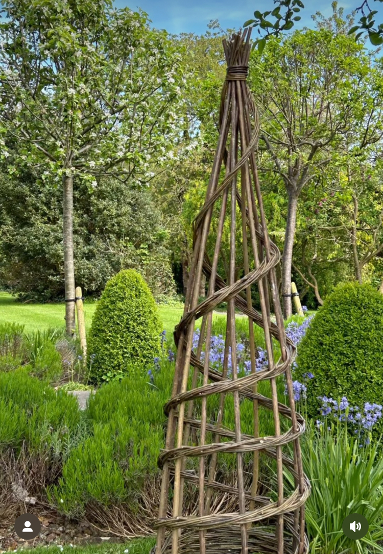 Garden Obelisk & Plant Support with Fiona Arnold of Braythorne Baskets