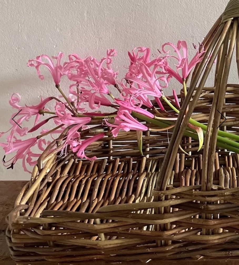 Flower Basket Willow Day Workshop