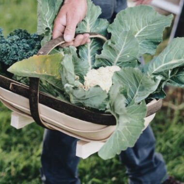 Maker - The Truggery