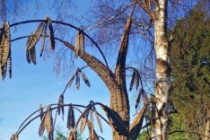 Jon White- Basket Making Malvern