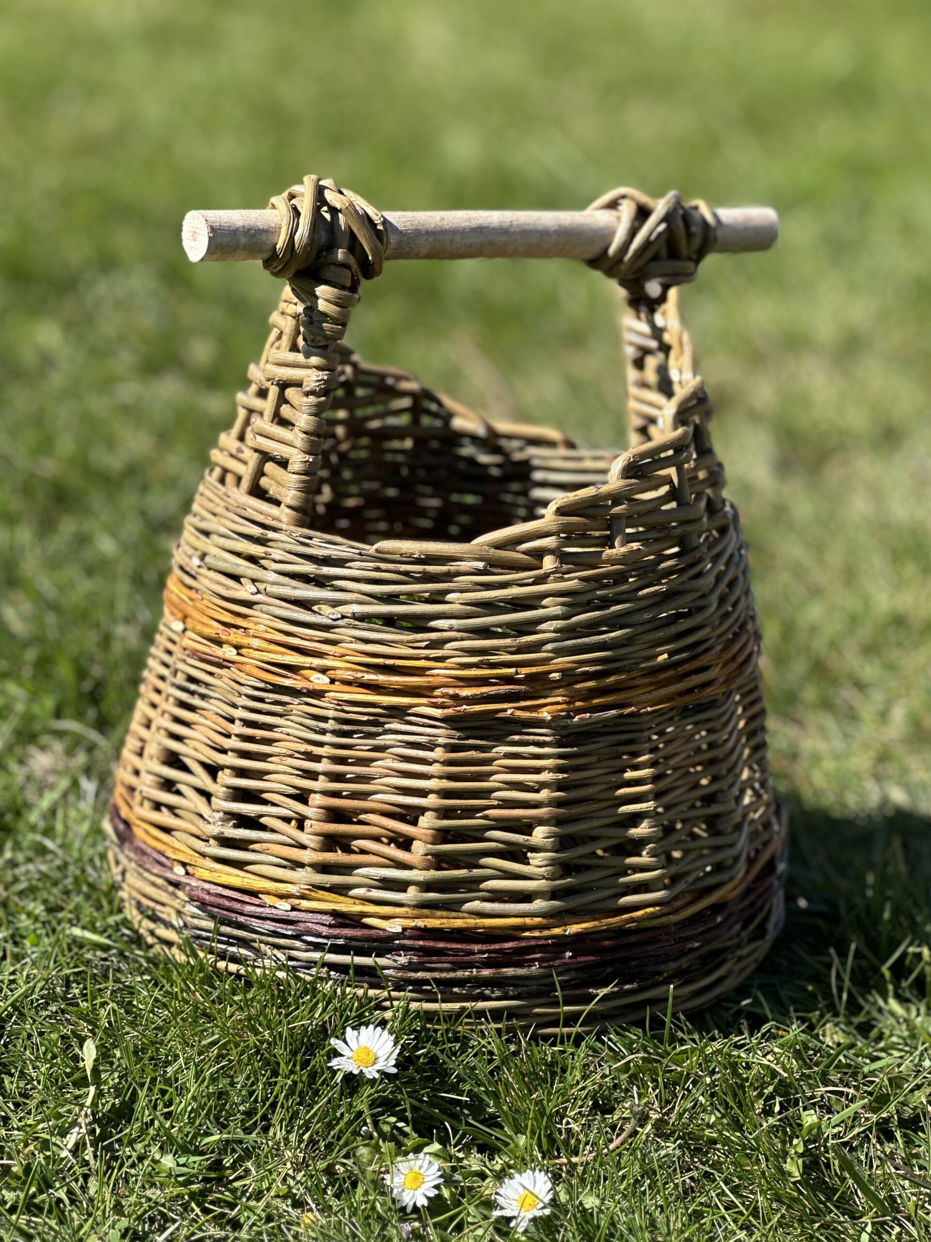 Contemporary Asymmetric Foraging Basket