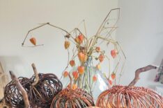 Laura Wilcock – Willow Wise