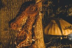 Laura Wilcock – Willow Wise