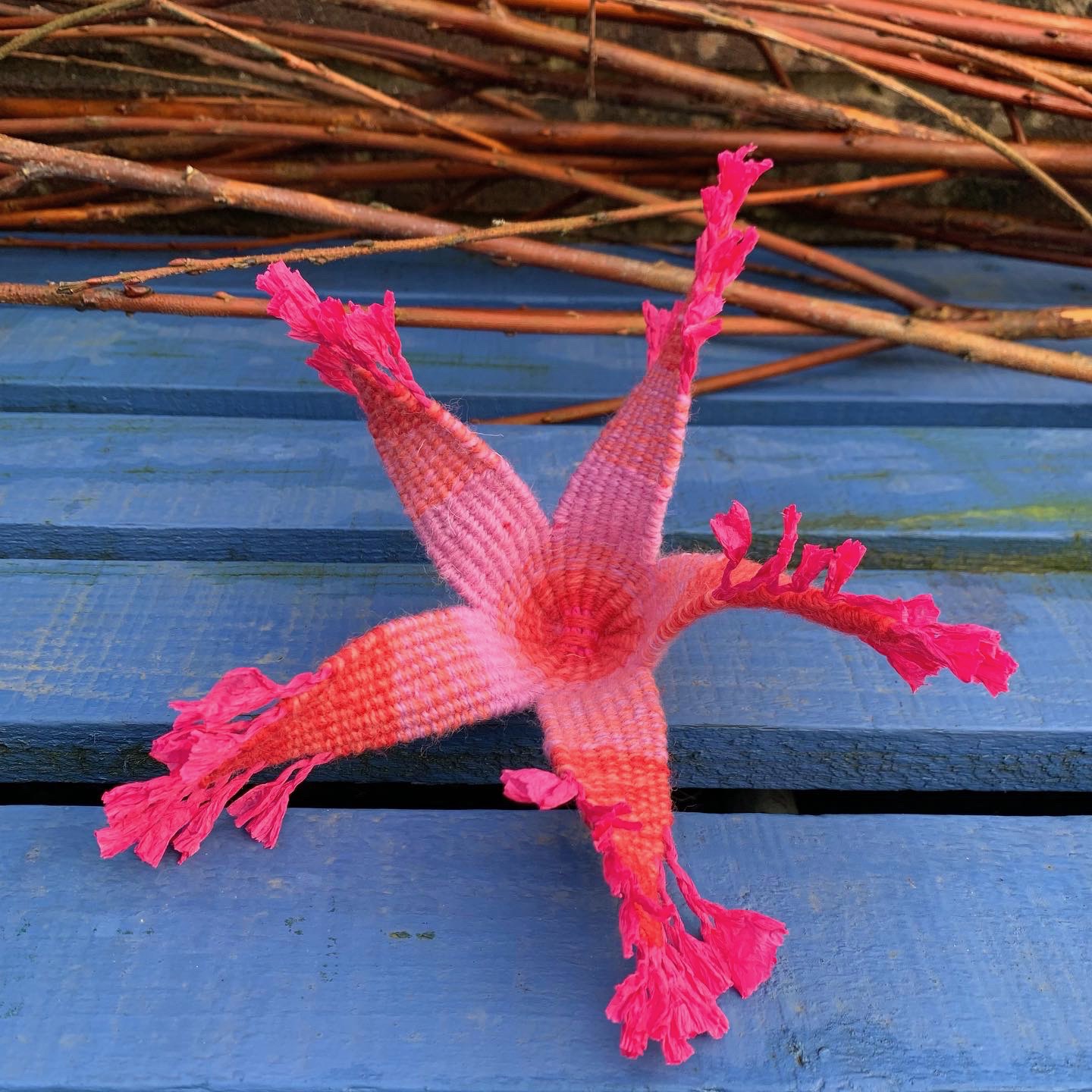 Sculptural Textile Basketry – Inspired By Plants